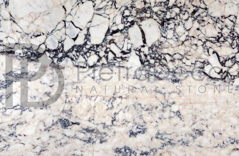 Breccia Multicolor